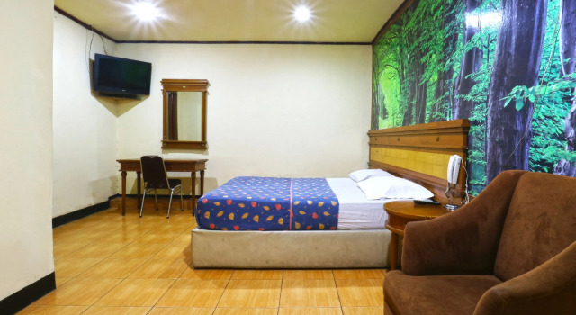 Supérieure chambre King Stone Hotel