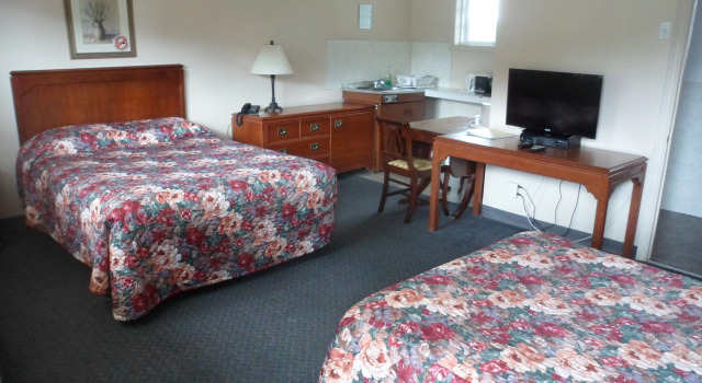 Номер Standard The Silver Birch Motel