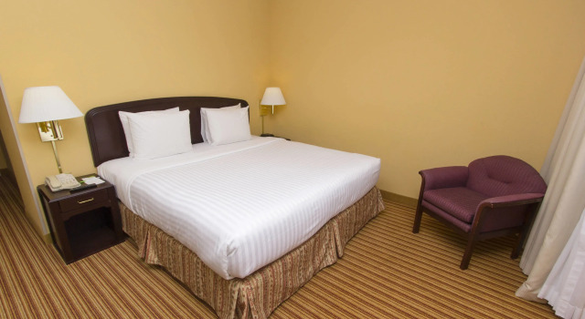 Двухместный номер Standard Courtyard Monterrey Airport