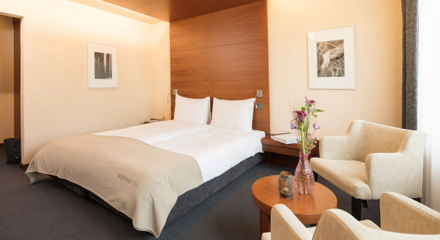 Двухместный номер Standard с балконом signinahotel