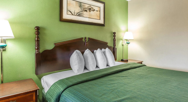 Двухместный люкс Quality Inn & Suites Macon North