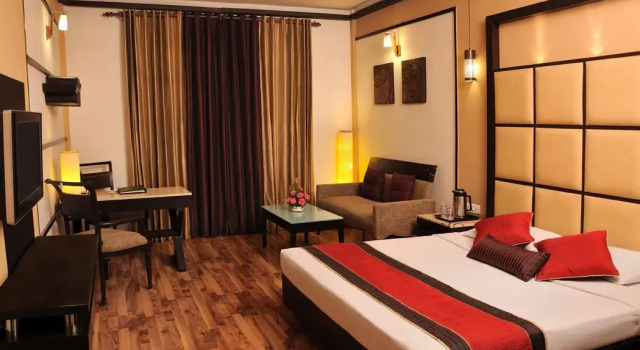 Двухместный номер Executive Hotel Maharaja Regency