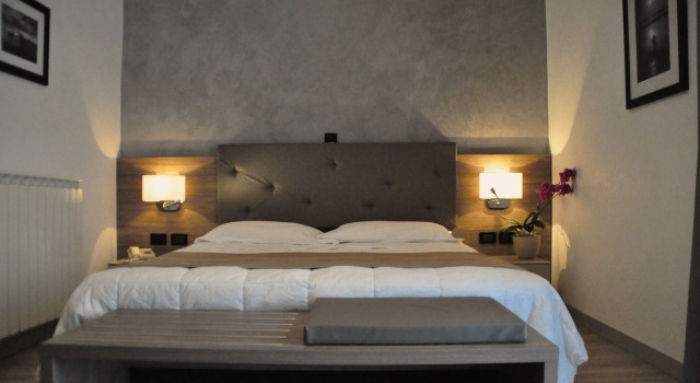 Двухместный номер Standard Hotel Regina