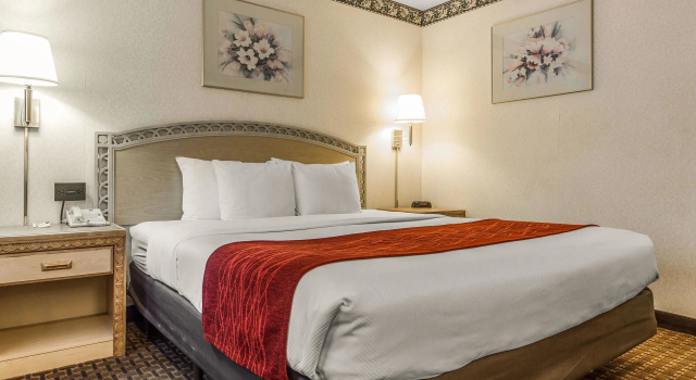 Двухместный номер Standard Comfort Inn Palo Alto