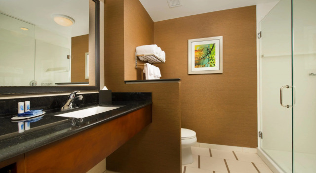 Четырёхместный номер Standard Fairfield Inn & Suites by Marriott Arundel Mills BWI Airport