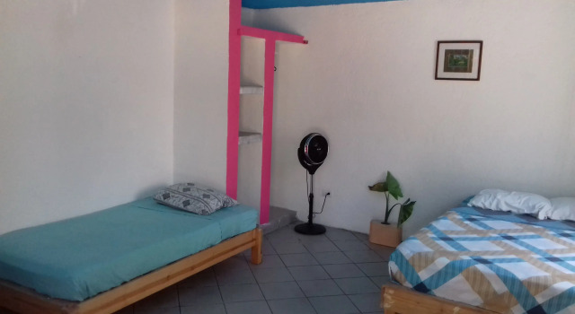 Номер Economy Mangrove Inn Akumal