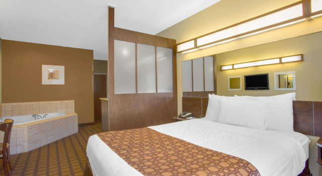 Двухместный люкс Microtel Inn & Suites by Wyndham Harrisonburg