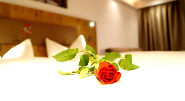 Двухместный номер Standard Hotel Kajetansbrücke