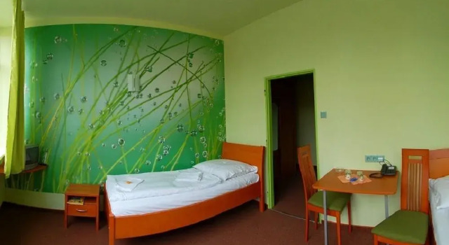 Standard quarto Hotel Liberec