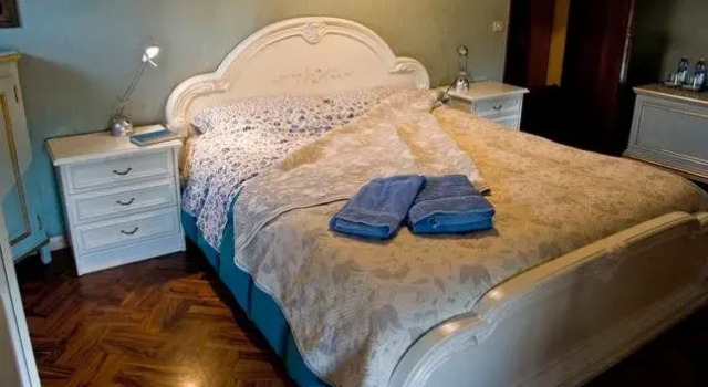 Camera Standard B&B Pleris