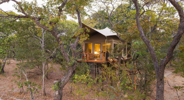 Тент Mukambi Fig Tree Bush Camp – All Inclusive