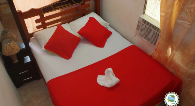 Двухместный номер Standard New Iguana House Hostel