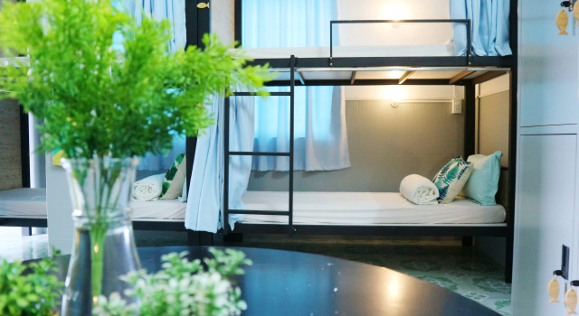 Кровать в общем номере Tigonhouse Hostel