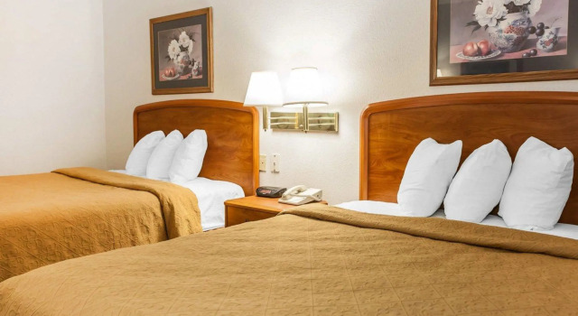 Четырёхместный номер Standard Quality Inn South