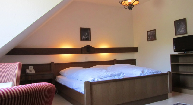 Двухместный номер Standard Hotel Schöne Aussicht