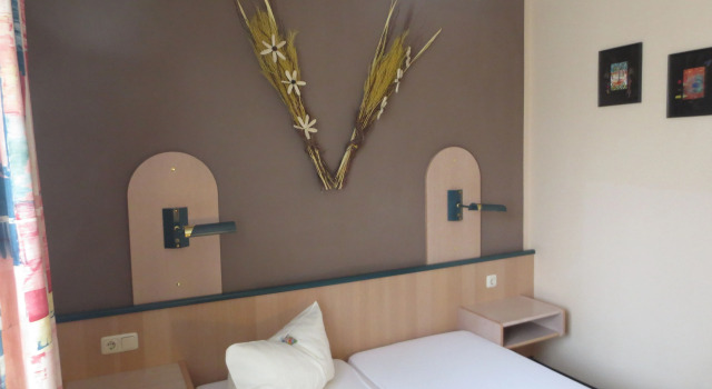 Двухместный номер Standard Hotel Regina