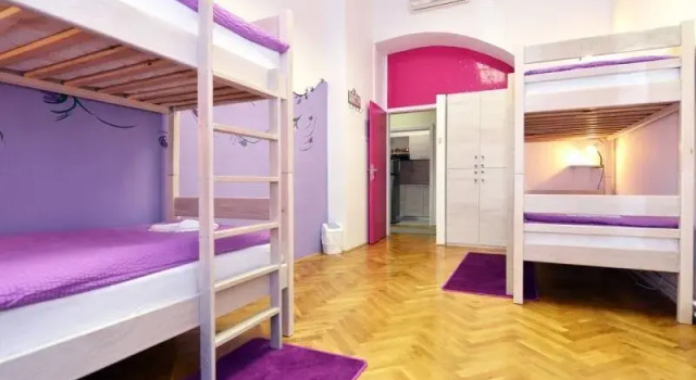 Bett im Wohnheim Hostel Chameleon