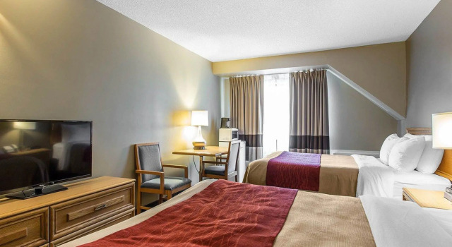 Четырёхместный номер Standard Comfort Inn