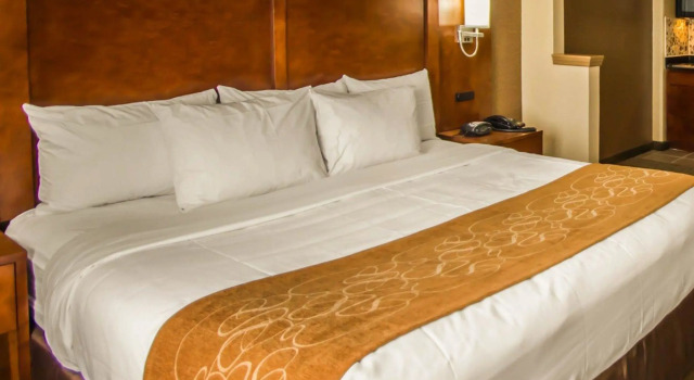 Двухместный люкс Quality Suites NYC Gateway