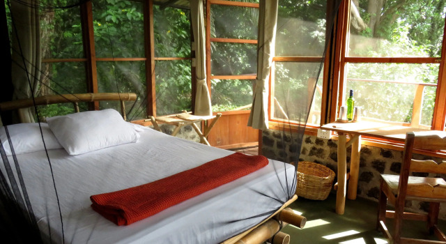 Апартаменты Comfort Selvista Guesthouses