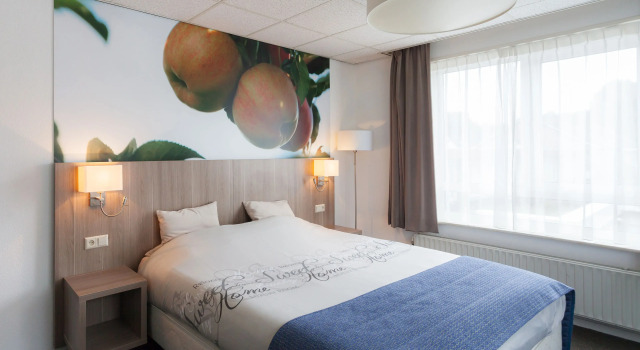 Номер Standard Hotel and Restaurant van Saaze