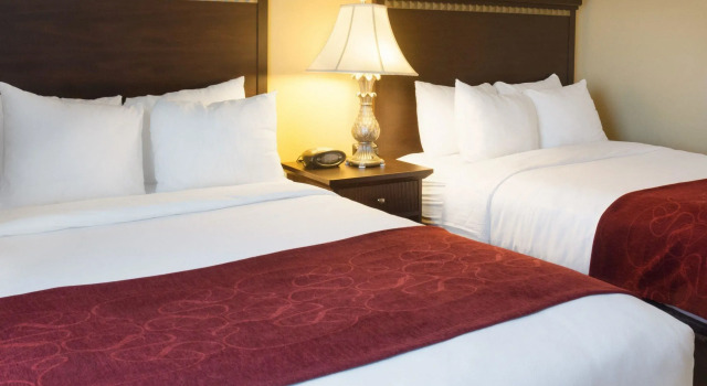 Четырёхместный люкс Comfort Suites Fredericksburg North