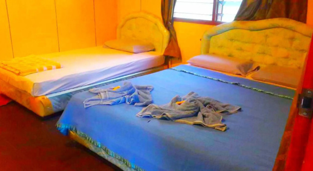 Номер Standard Sukau Backpackers Bed & Breakfast