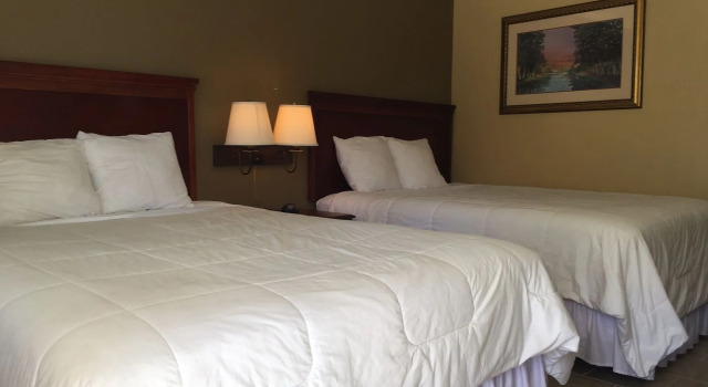Deluxe firedobbelt værelse Murphy Motel