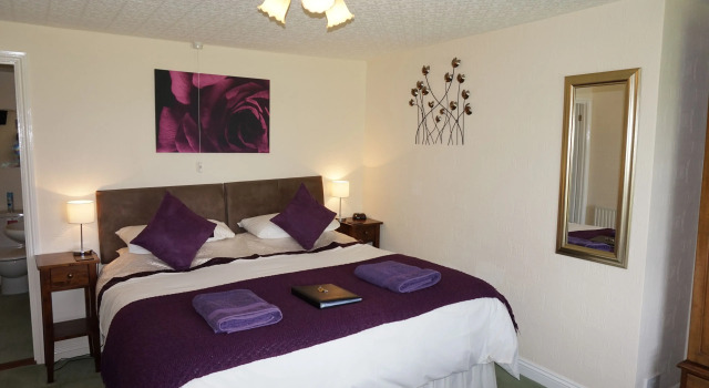 Номер Superior Leworthy Farmhouse Bed and Breakfast