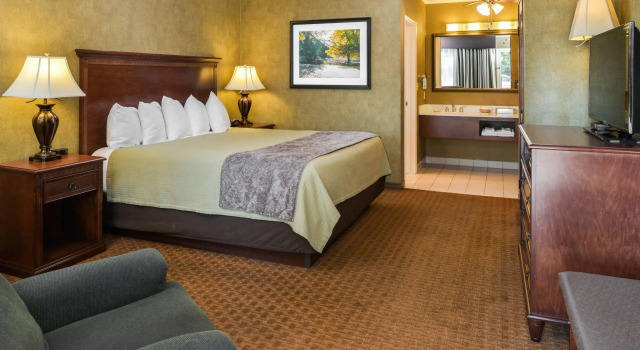 Двухместный номер Standard Best Western Plus Black Oak
