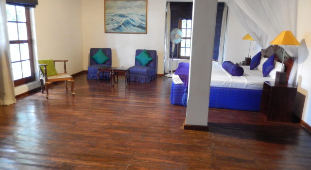 Номер Deluxe Villa Shenandoah