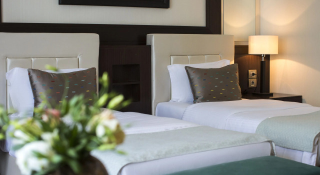 Номер Standard Gabala Yengice Thermal Resort Hotel