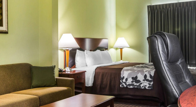 Двухместный люкс Sleep Inn & Suites Hiram - Atlanta Northwest