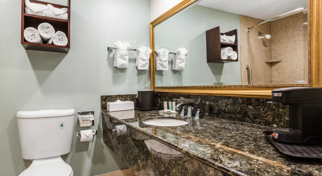 Четырёхместный номер Standard Comfort Inn & Suites Irvine Spectrum