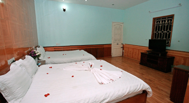 Люкс Avi Airport Hotel