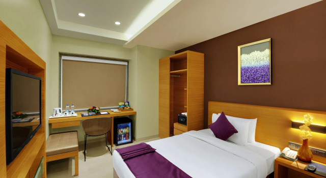 Одноместный номер Executive Hotel Suba Elite Vadodara