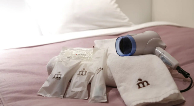 Двухместный номер Standard Nesthotel Alt Meguro Ekimae