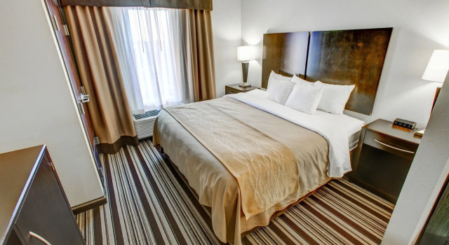 Двухместный номер Standard Comfort Inn & Suites Triadelphia - Wheeling