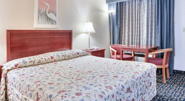 Двухместный номер Standard OYO Woodland Hotel and Suites