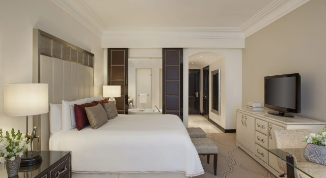 Двухместный номер с видом на город Отель Four Seasons Hotel Buenos Aires