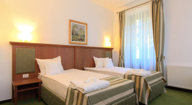 Двухместный номер Business Hotel Palace