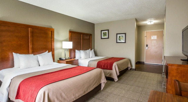 Четырёхместный номер Standard Comfort Inn & Suites at Dollywood Lane