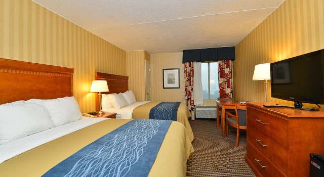 Четырёхместный номер Standard Comfort Inn & Suites Alexandria West