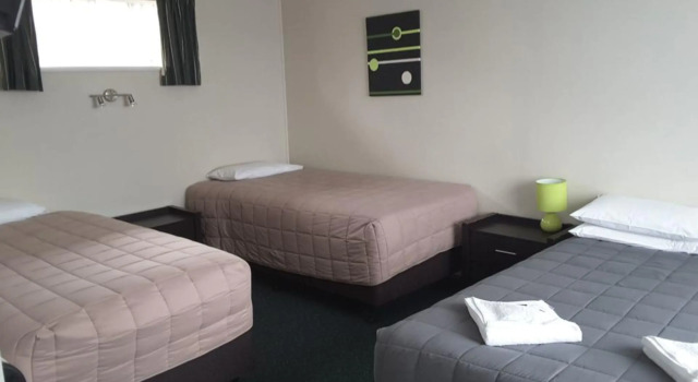 Семейный номер Standard c 1 комнатой Palm Motel Waihi