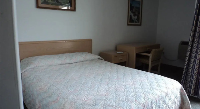 Номер Standard Oasis Hotel