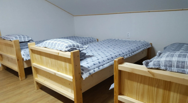 Номер Standard с панорамным видом tree house