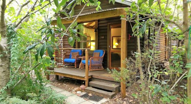 Студия Black Cockatoo Lodge