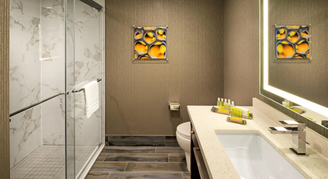 Двухместный номер Standard с красивым видом из окна Doubletree by Hilton Toronto Airport, ON
