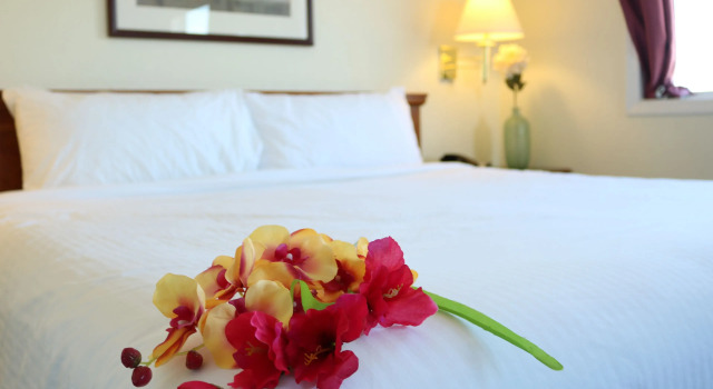 Апартаменты Nomad Hotel & Suites