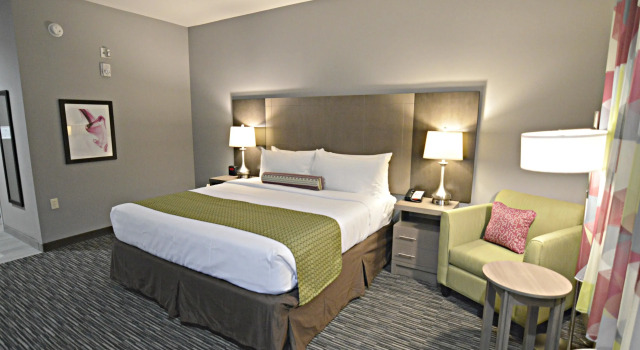 Двухместный номер Standard Holiday Inn Gonzales by IHG